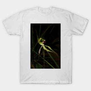 Early Spider Orchid T-Shirt